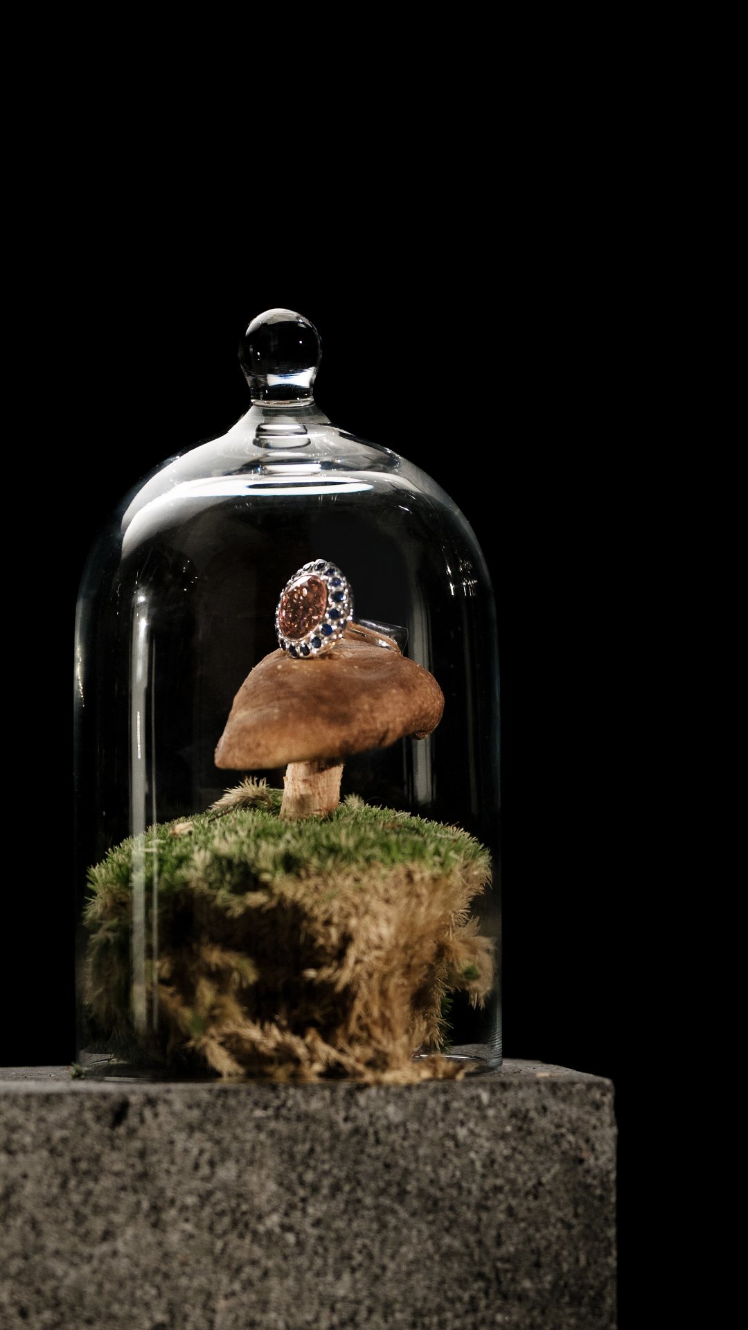 Jewelry displayed beneath a glass dome
